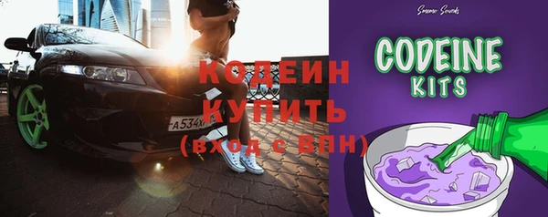 гидра Няндома