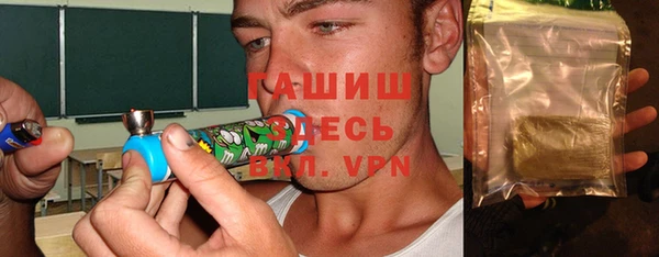 гидра Няндома