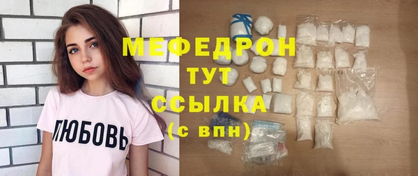 гидра Няндома