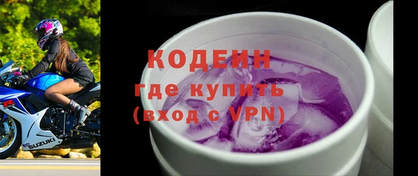 гидра Няндома
