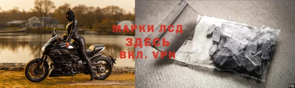 гидра Няндома