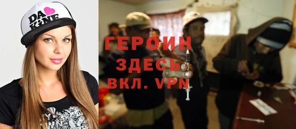 гидра Няндома