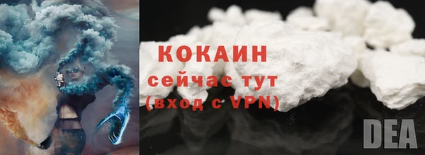 гидра Няндома