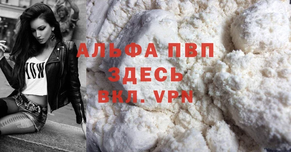 гидра Няндома