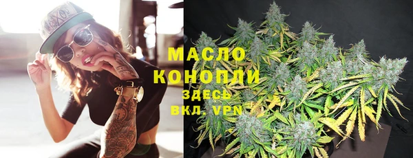 гидра Няндома