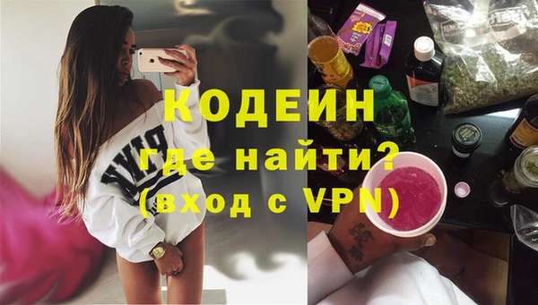 гидра Няндома