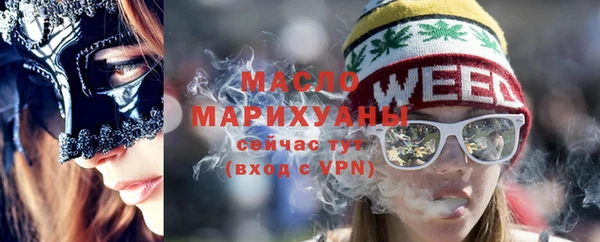 гидра Няндома