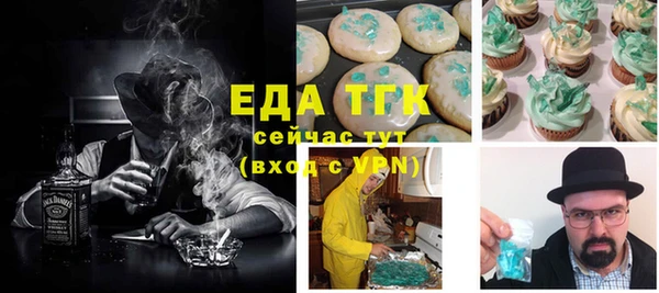 гидра Няндома
