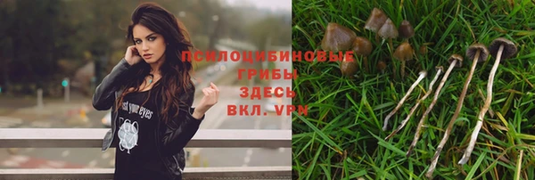 a pvp Нягань
