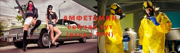 гидра Няндома
