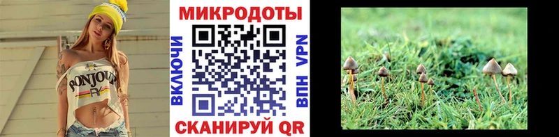 Галлюциногенные грибы Cubensis цена Выборг