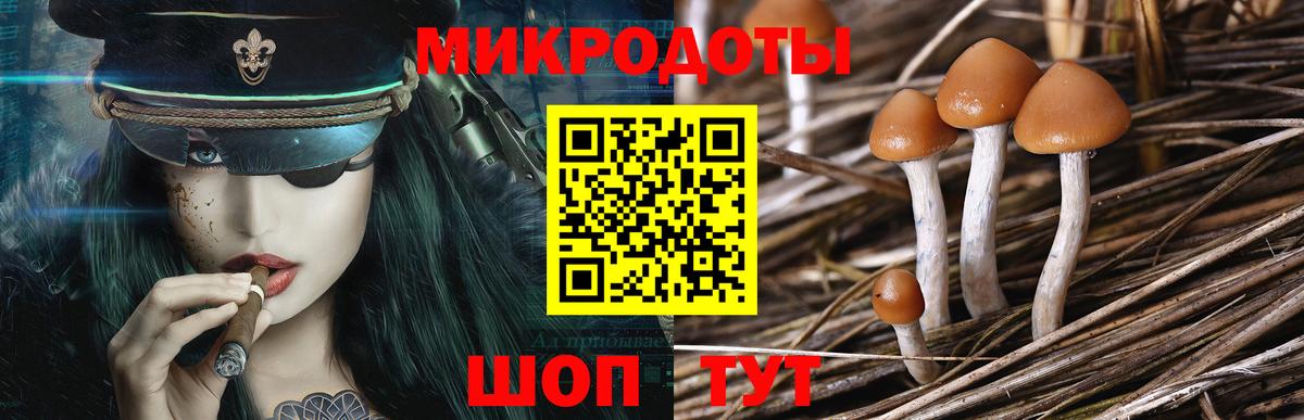 Галлюциногенные грибы GOLDEN TEACHER  цена   Выборг  Вход с VPN 